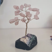 Load image into Gallery viewer, Rose Quartz on Amethyst Bonsai Tree
