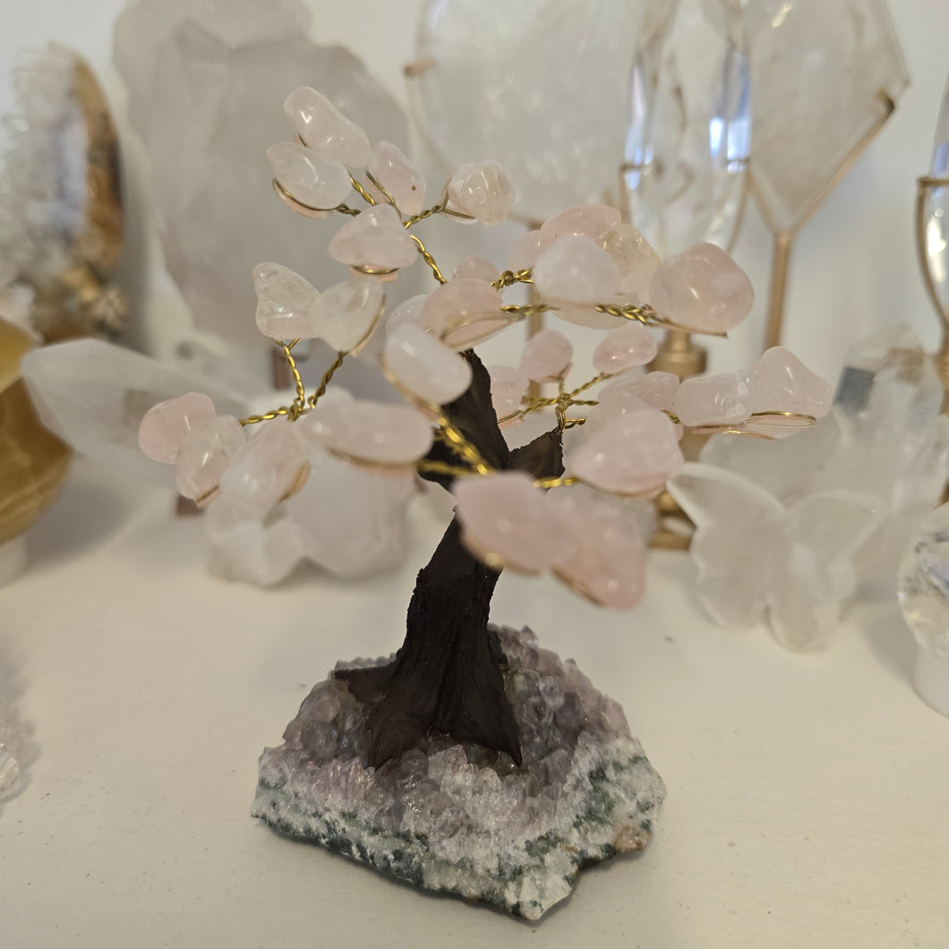 Rose Quartz on Amethyst Bonsai Tree